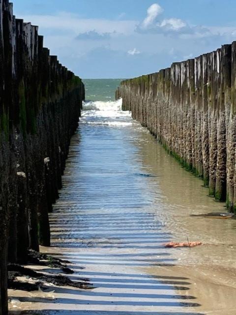 Duinstrand Burgh-Haamstede Εξωτερικό φωτογραφία