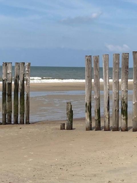 Duinstrand Burgh-Haamstede Εξωτερικό φωτογραφία