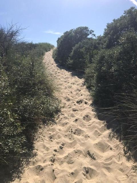 Duinstrand Burgh-Haamstede Εξωτερικό φωτογραφία